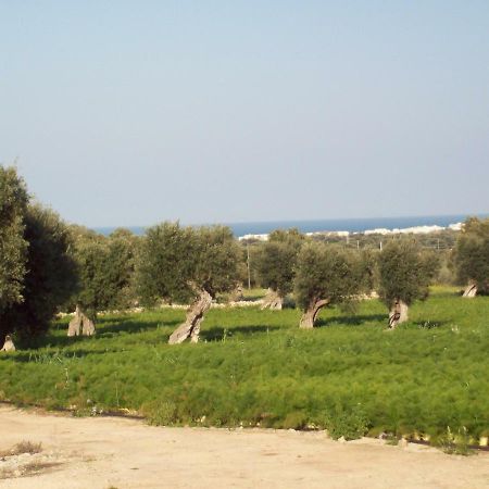 Masseria Ricci Fasano Exteriör bild