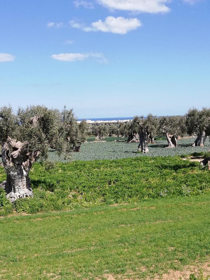 Masseria Ricci Fasano Exteriör bild