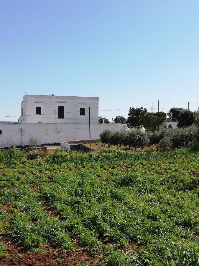 Masseria Ricci Fasano Exteriör bild