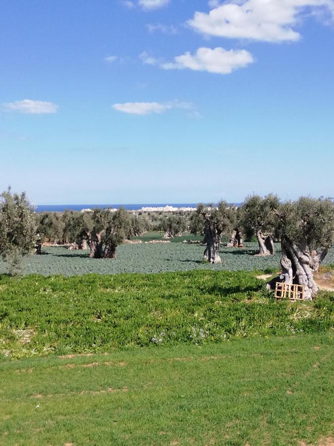 Masseria Ricci Fasano Exteriör bild