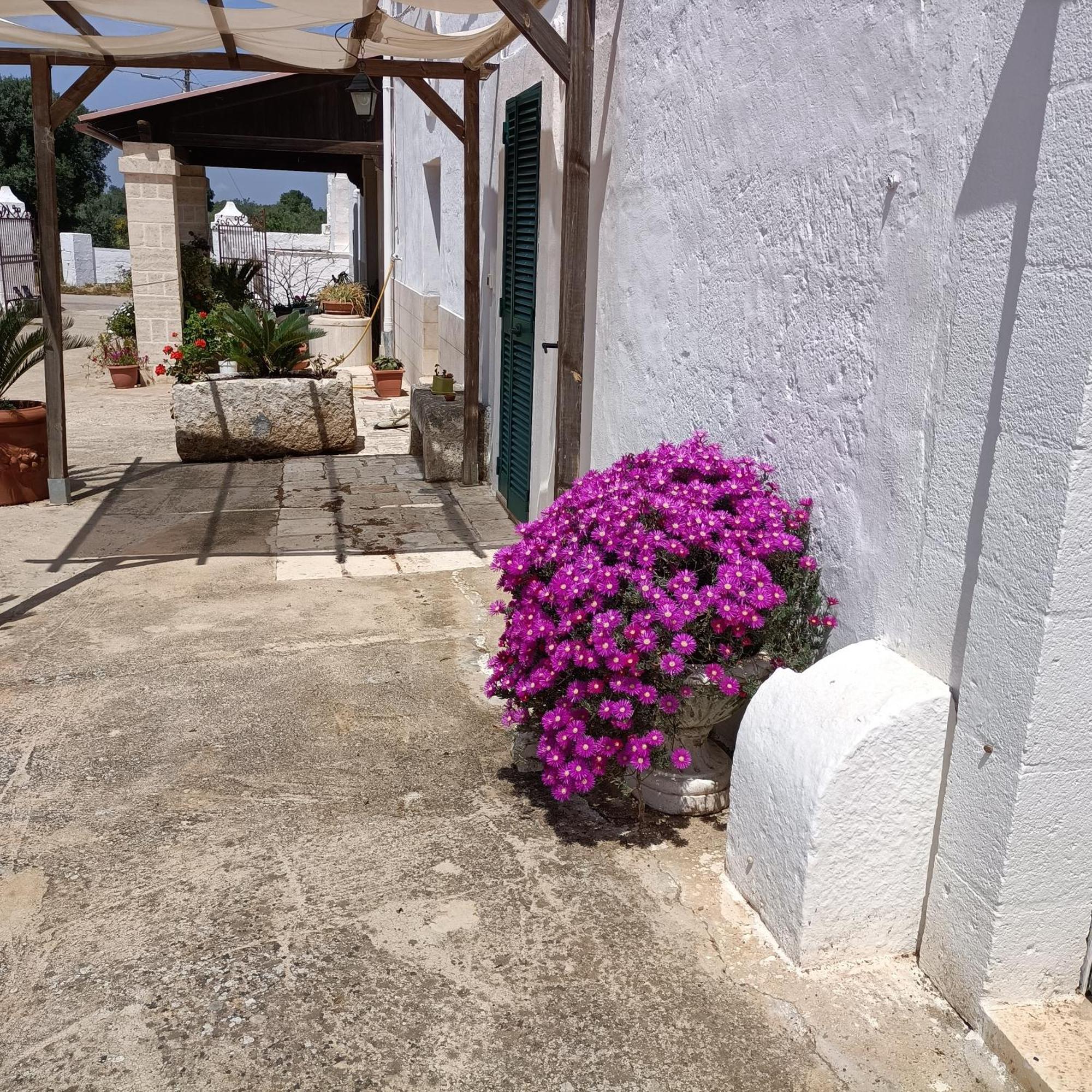 Masseria Ricci Fasano Exteriör bild