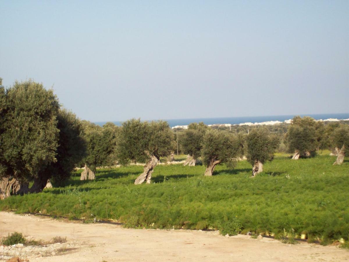 Masseria Ricci Fasano Exteriör bild
